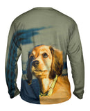 Ambitious Dachshund Puppy