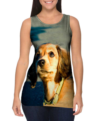 Ambitious Dachshund Puppy