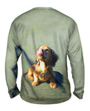 Face Lick Dachshund
