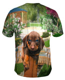 Tiny Dachshund Showcase