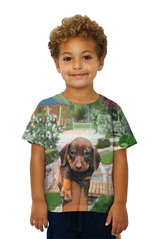 Kids Tiny Dachshund Showcase