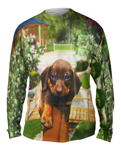 Tiny Dachshund Showcase