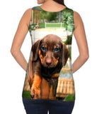 Tiny Dachshund Showcase