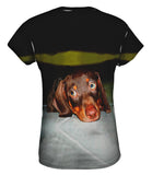 Hot Dog Dachshund