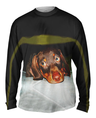 Hot Dog Dachshund