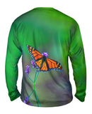 Pretty Monarch Butterfly