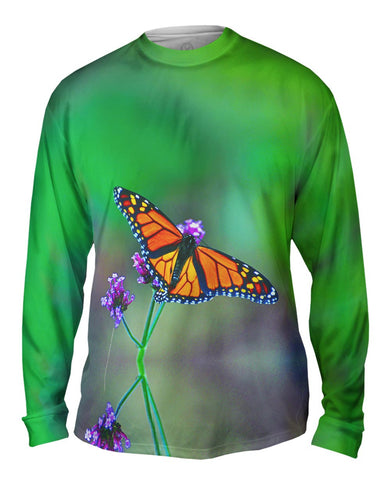 Pretty Monarch Butterfly