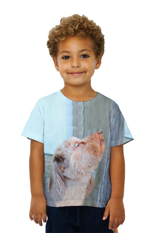 Kids Skys Limit Dachshund