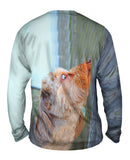 Skys Limit Dachshund