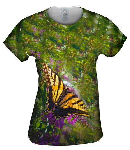 Yellow Striped Butterfly