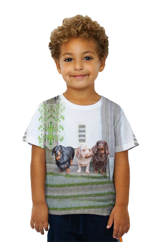 Kids Dachshund Variety Pack
