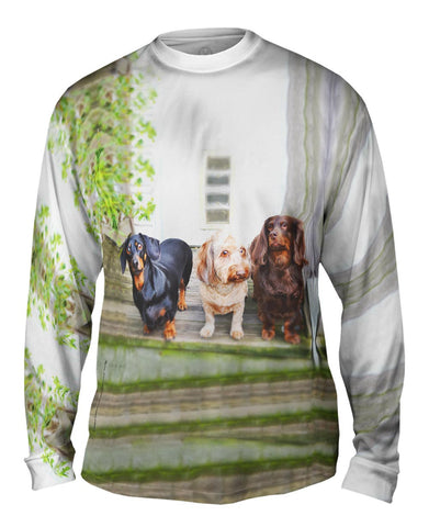 Dachshund Variety Pack