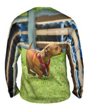 Dachshund Sprint