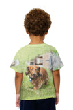 Kids Dachshund Surveys Backyard