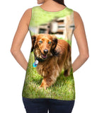 Dachshund Surveys Backyard