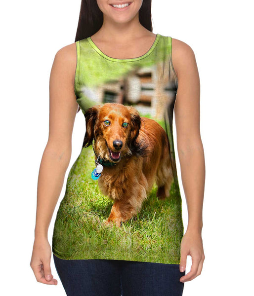 Dachshund Surveys Backyard&nbsp;Womens Tank Top