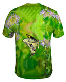 Giant Swallowtail Butterfly