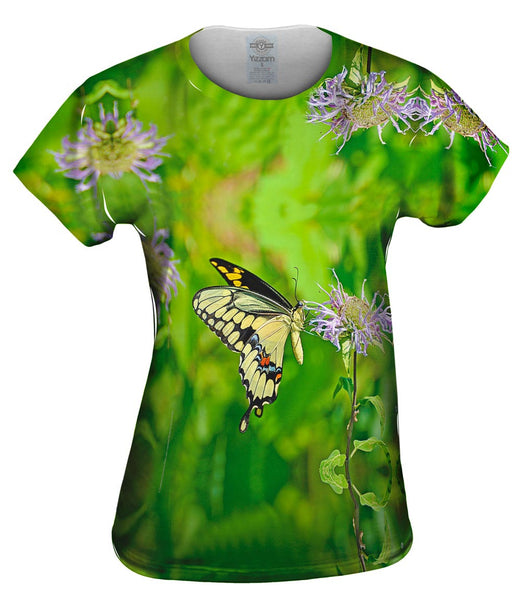 Giant Swallowtail Butterfly Womens Top