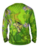 Giant Swallowtail Butterfly