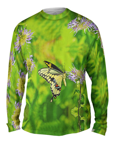 Giant Swallowtail Butterfly