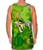 Giant Swallowtail Butterfly