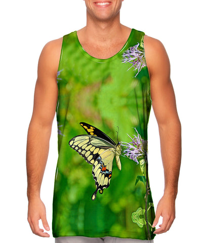 Giant Swallowtail Butterfly