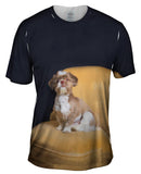 Royal Shihtzu