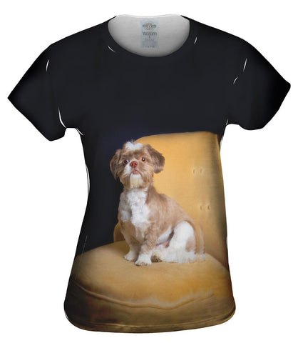 Royal Shihtzu