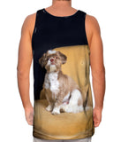Royal Shihtzu