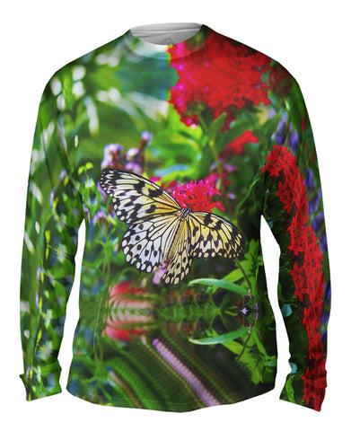 Lovely Spring Butterfly