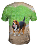 Dachshund Trackstar