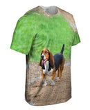 Dachshund Trackstar