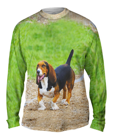 Dachshund Trackstar