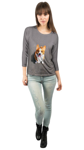 Huggable Corgi