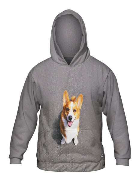 Huggable Corgi Mens Hoodie Sweater