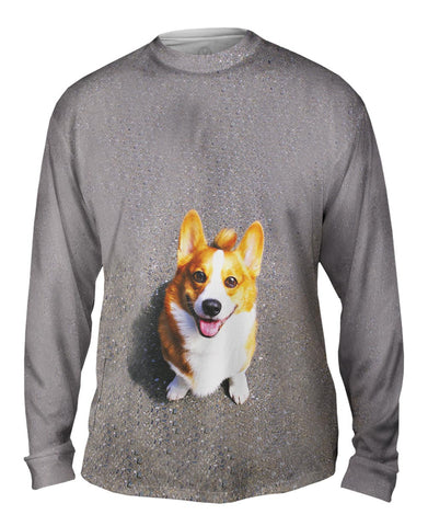 Huggable Corgi