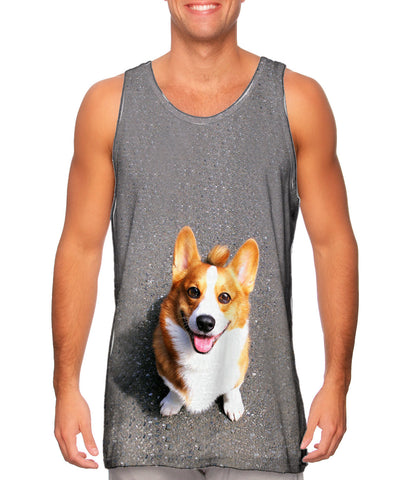 Huggable Corgi