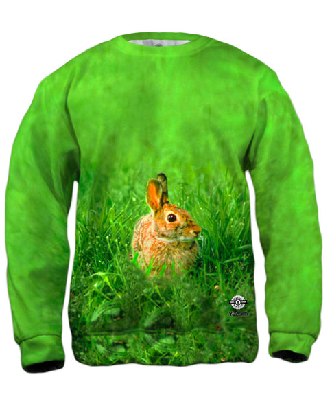 Peter Rabbit Mens Sweatshirt