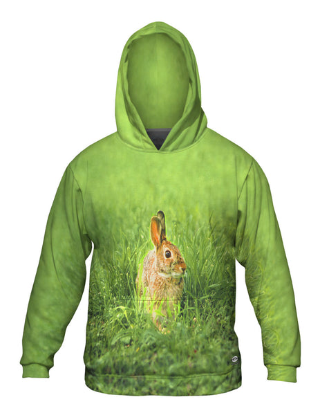 Peter Rabbit Mens Hoodie Sweater