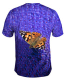 Swift Orange Butterfly