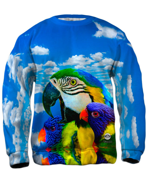 Soaring Bird Collage Mens Sweatshirt