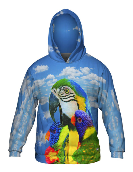 Soaring Bird Collage Mens Hoodie Sweater