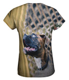 Dreamer Boxer