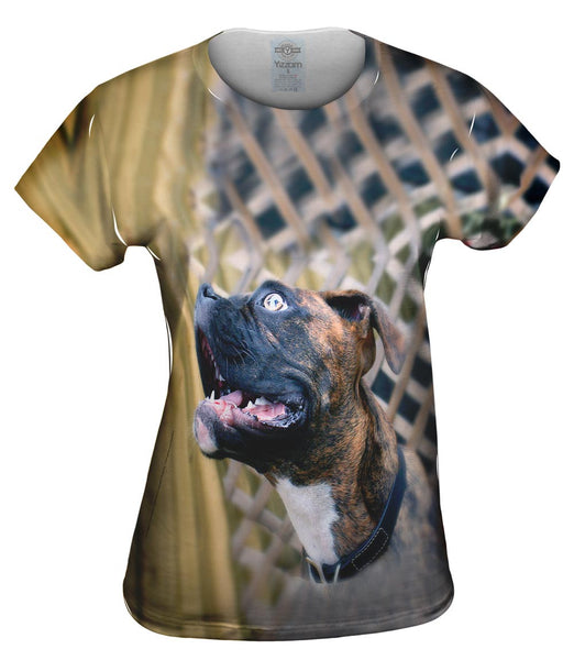 Dreamer Boxer Womens Top