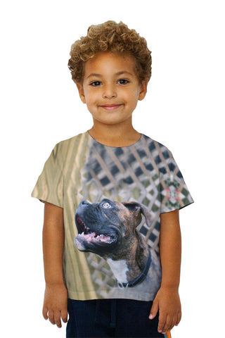 Kids Dreamer Boxer