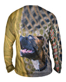 Dreamer Boxer