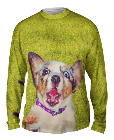 Zanny Dog Grass