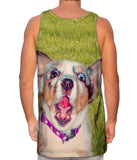 Zanny Dog Grass