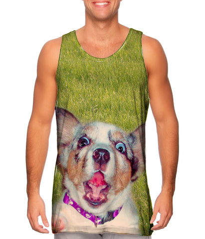 Zanny Dog Grass