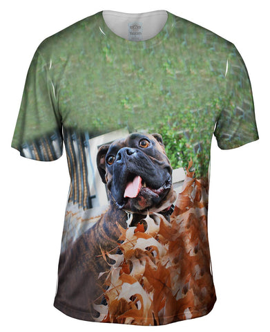 Autumn Leaves Boxer